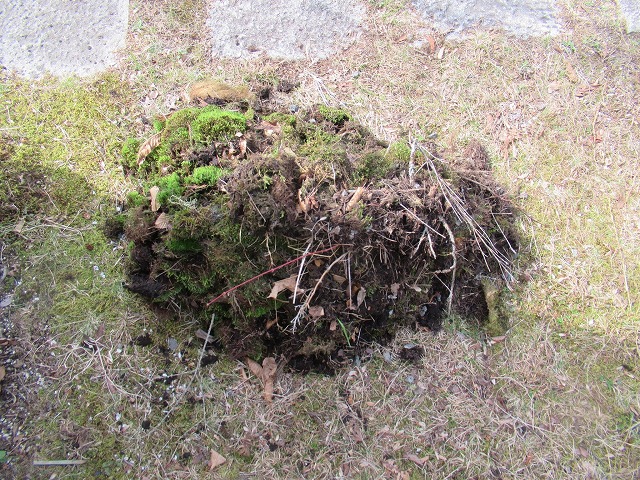 山中湖村　雨樋清掃